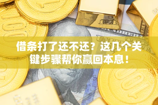 北京借条打了还不还？这几个关键步骤帮你赢回本息！