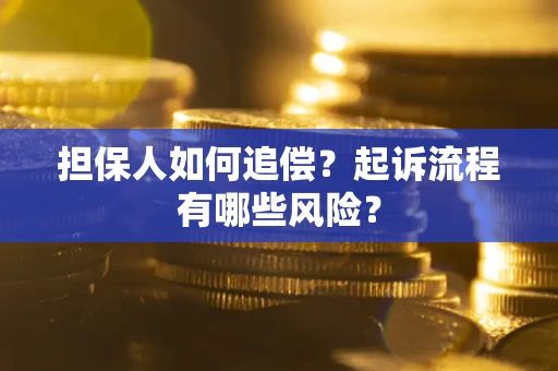 北京担保人如何追偿？起诉流程有哪些风险？