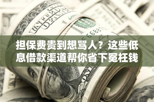 北京担保费贵到想骂人？这些低息借款渠道帮你省下冤枉钱