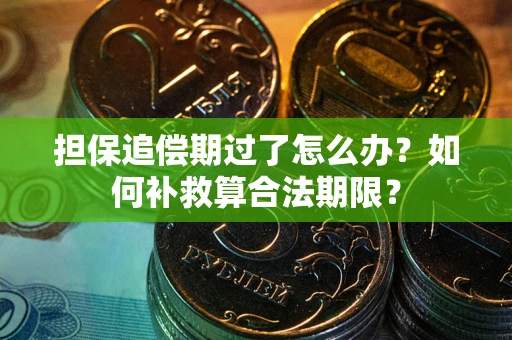 北京担保追偿期过了怎么办？如何补救算合法期限？