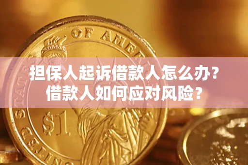 北京担保人起诉借款人怎么办？借款人如何应对风险？