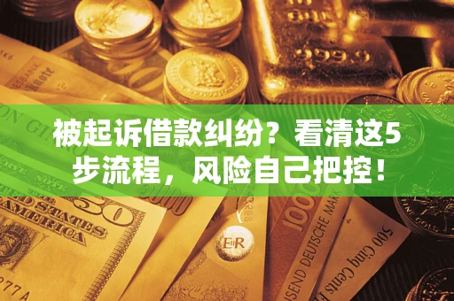 北京被起诉借款纠纷？看清这5步流程，风险自己把控！