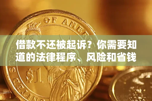 北京借款不还被起诉？你需要知道的法律程序、风险和省钱技巧