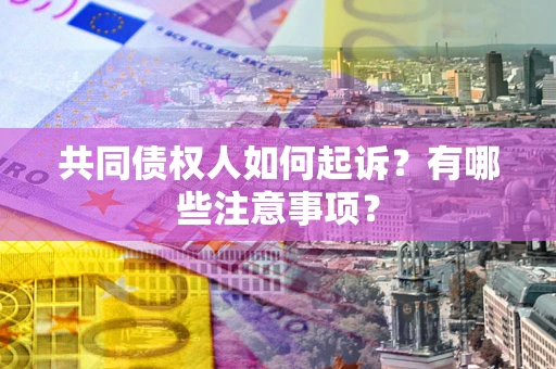 北京共同债权人如何起诉？有哪些注意事项？