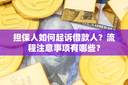 北京担保人如何起诉借款人？流程注意事项有哪些？